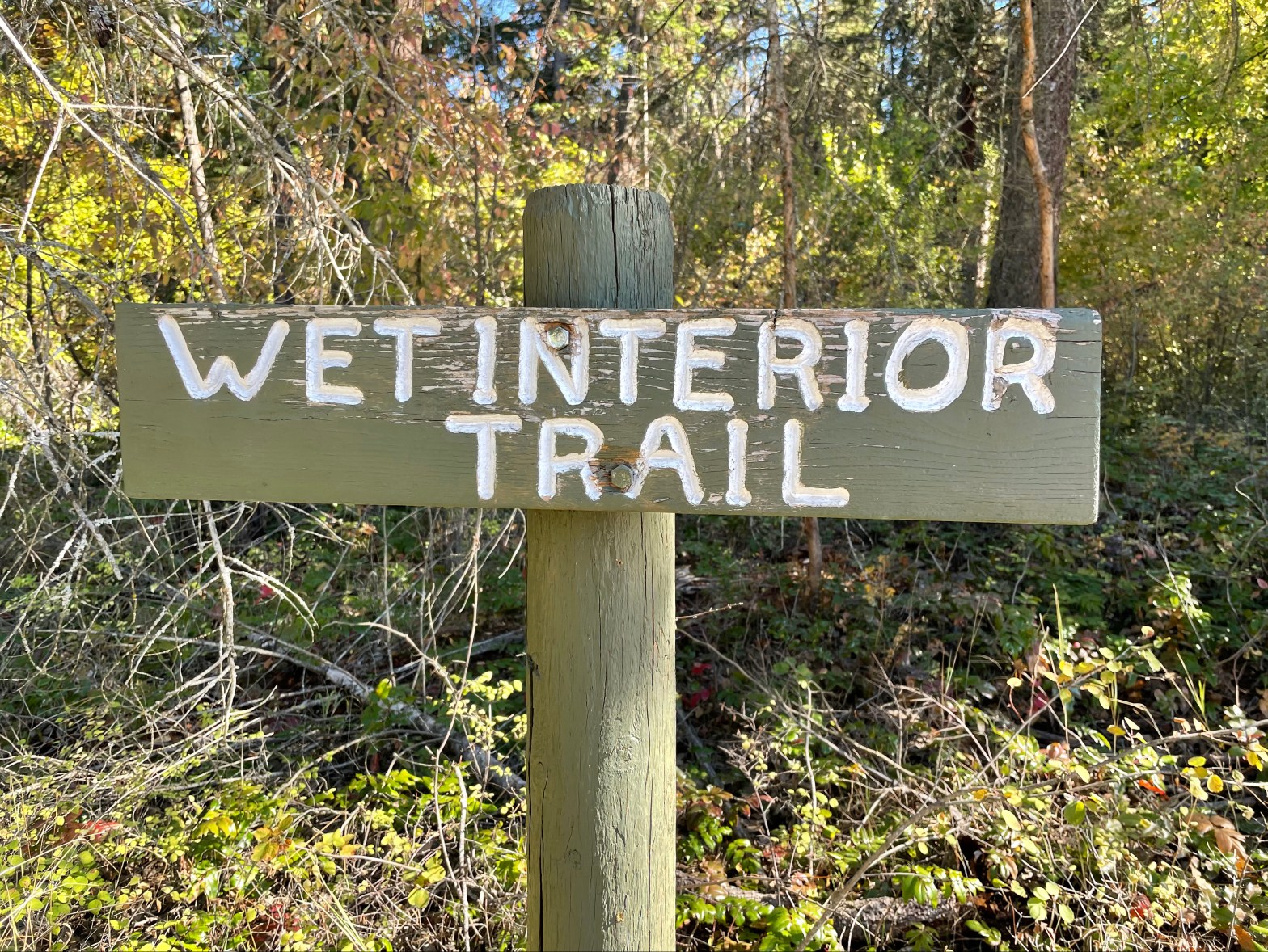 A wooden sign with the carved and painted text in white letters stating WET INTERIOR TRAIL. Yellow and green autumn leaves are in the background.