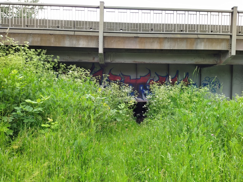 A highway overpass bridge is pictured from the side. Leading underneath the overpass is a trail stomped through tall grasses. 