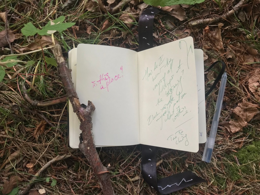 A notebook is open on a bed of dried twigs, leaves and moss. A pen is resting next to it. The pages are filled with scribbled notes, including the text "is this a place?"