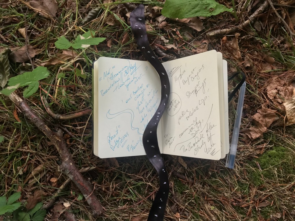 A notebook is open on a bed of dried twigs, leaves and moss. A pen is resting next to it. The pages are filled with scribbled notes, including the name "Mar"