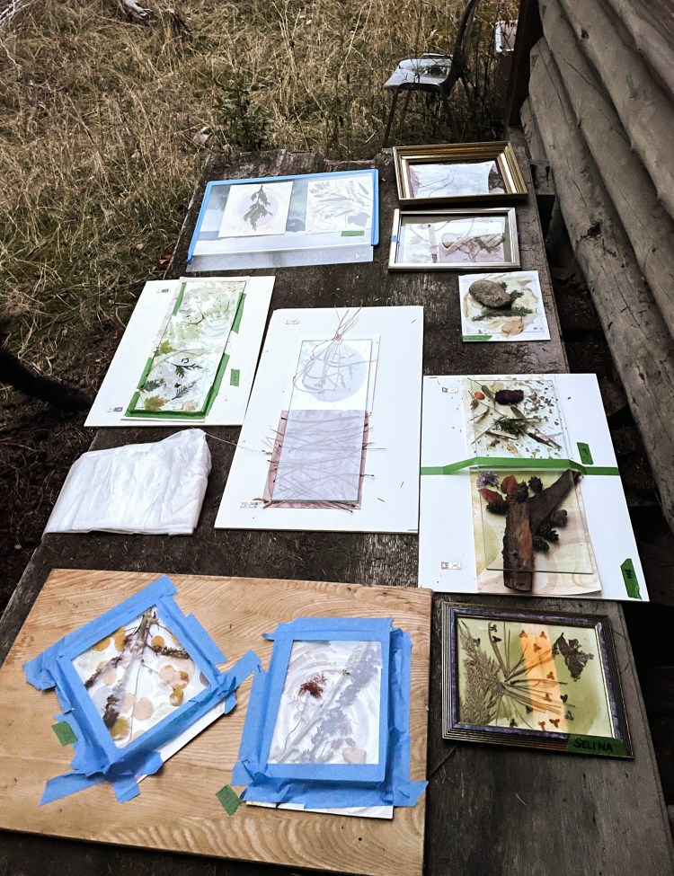 9 picture frames holding natural objects covered with glass lie on a table outside of a wood shack.