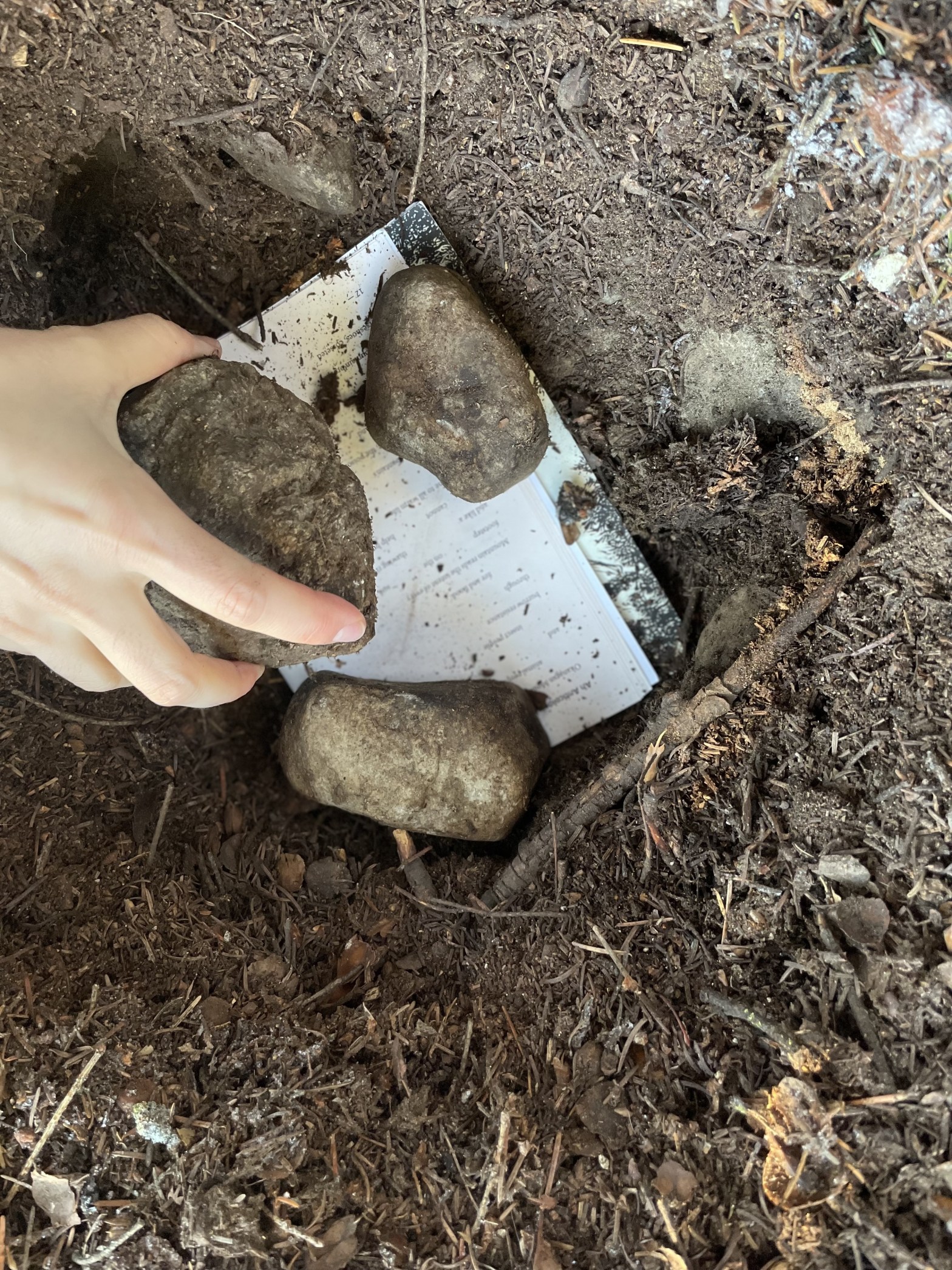 A book, open to one of its poems, sits in a dirt hole. A hand places a rock on top of it, to join two other rocks already resting on it.