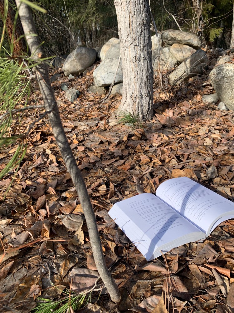 A book of poetry lies open on a bed of dry brown leaves. Two tree trunks reach up in front and behind the book, and a pile of grey boulders nestle in the background. Some green pine needles are just visible in the foreground, too.