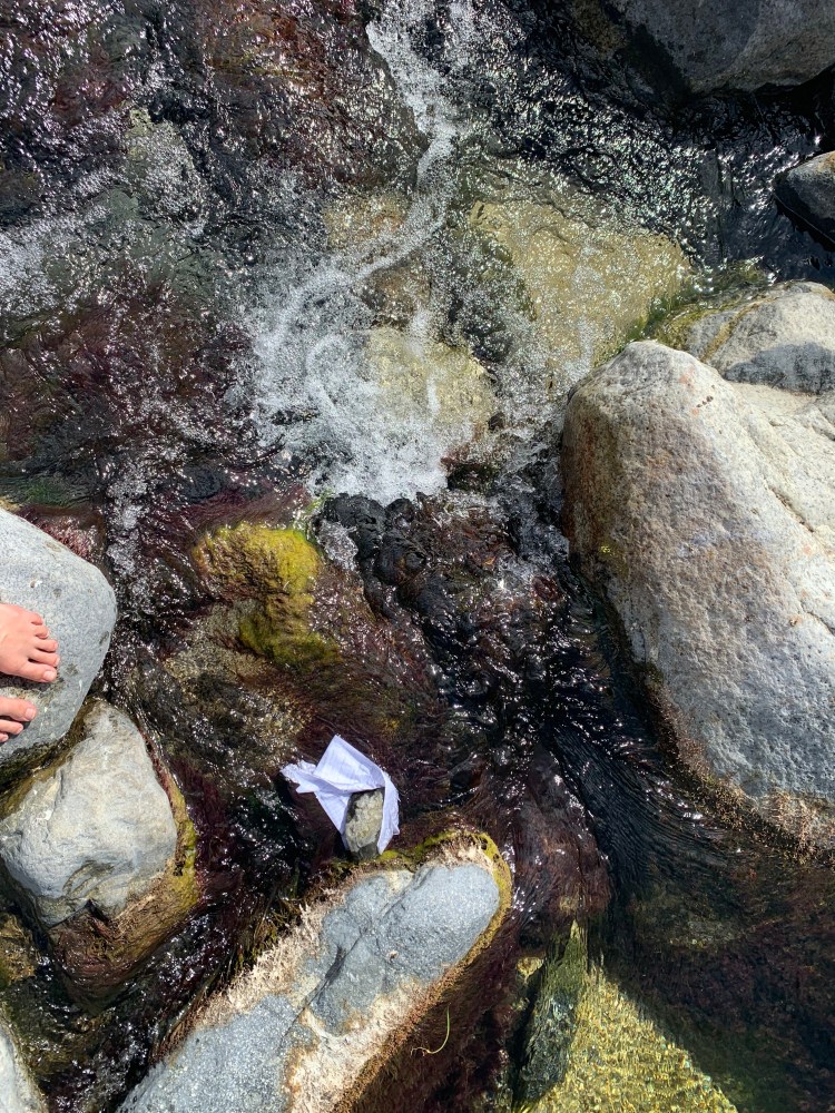 A sheet of paper sits below a rock in a moving stream. Toes of two feet are just visible, standing next to the stream on a rock.