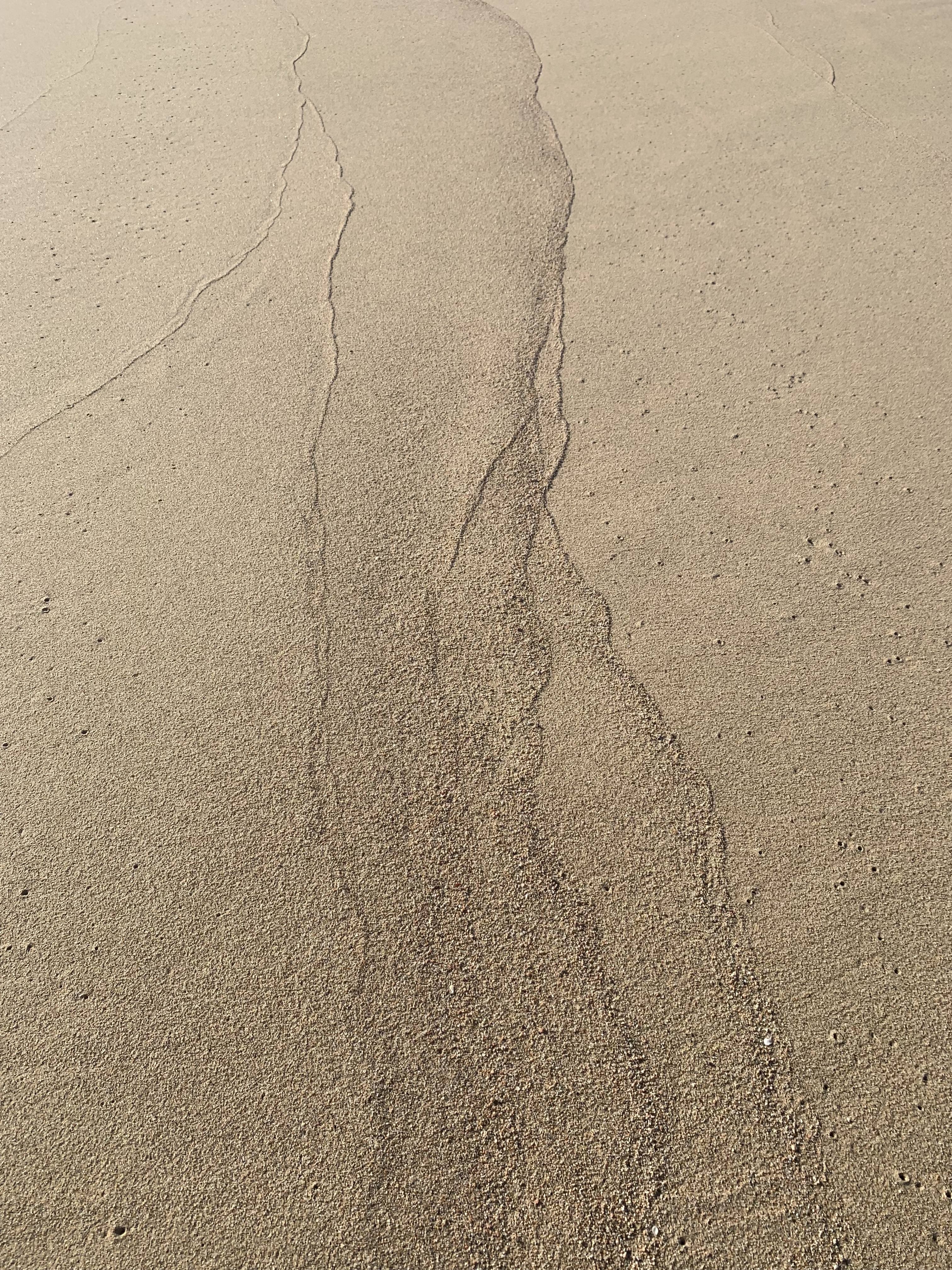 Light brown sand is disturbed by watermarks of a stream or a flow that is no longer there.
