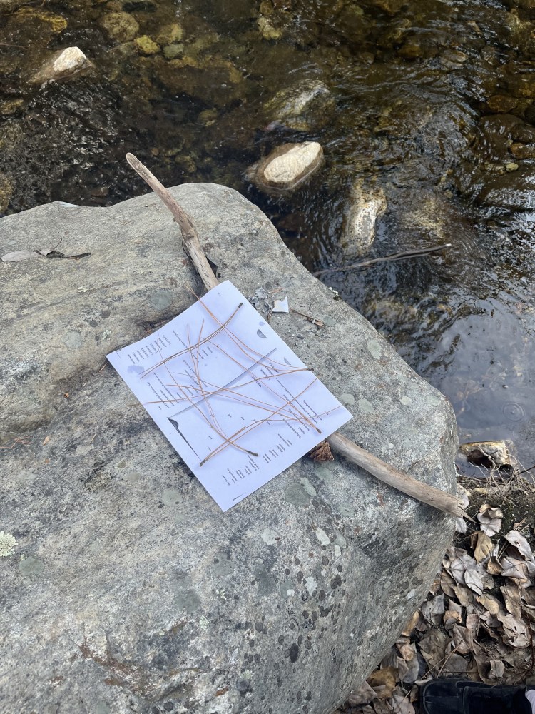 A page sits on a rock, on top of a stick. Several dried pine needles criss-cross the page.