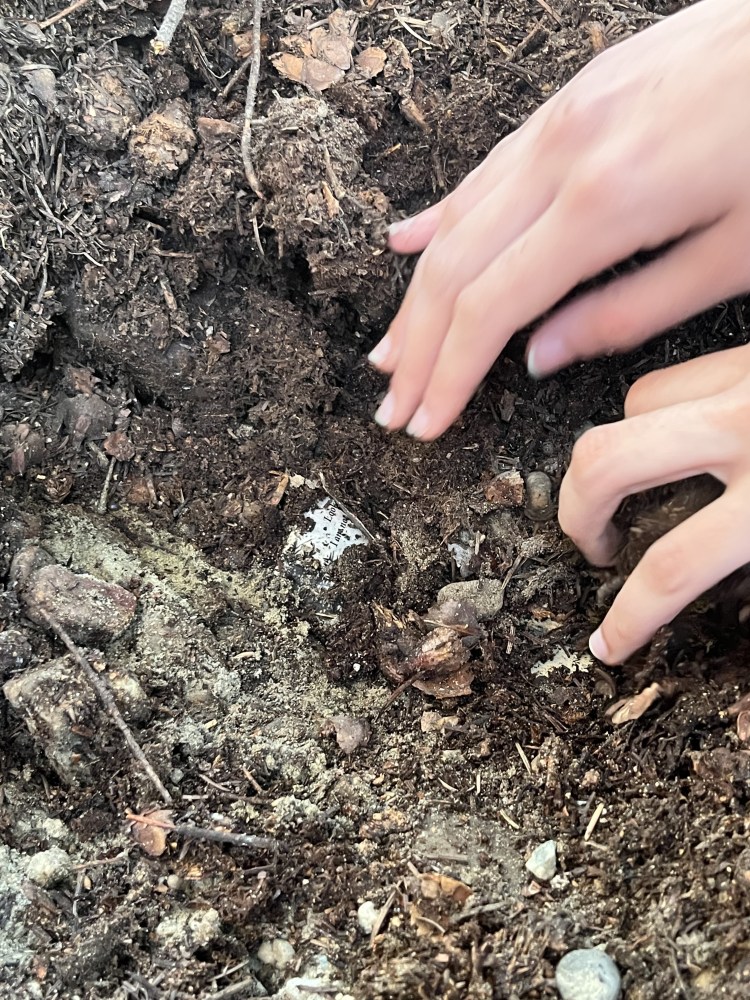Fingers dig in the dirt, and the corner of a book is visible.