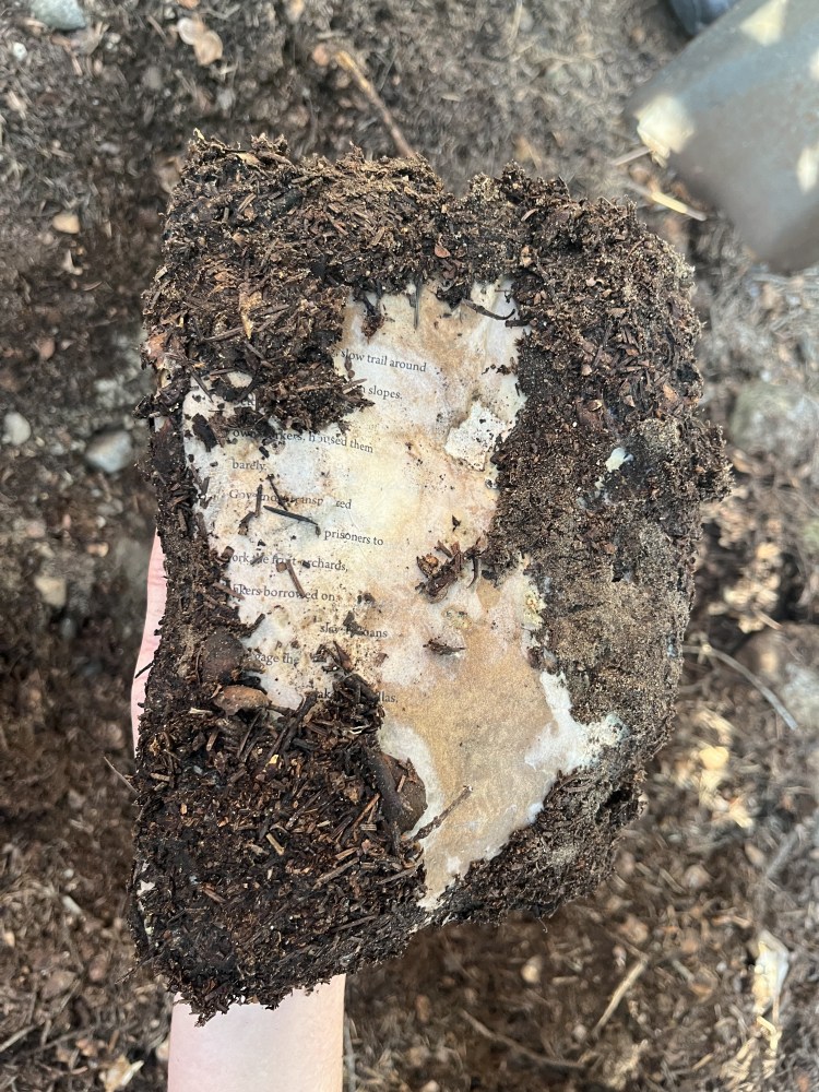 A page is encrusted with dirt and other earthly matter!