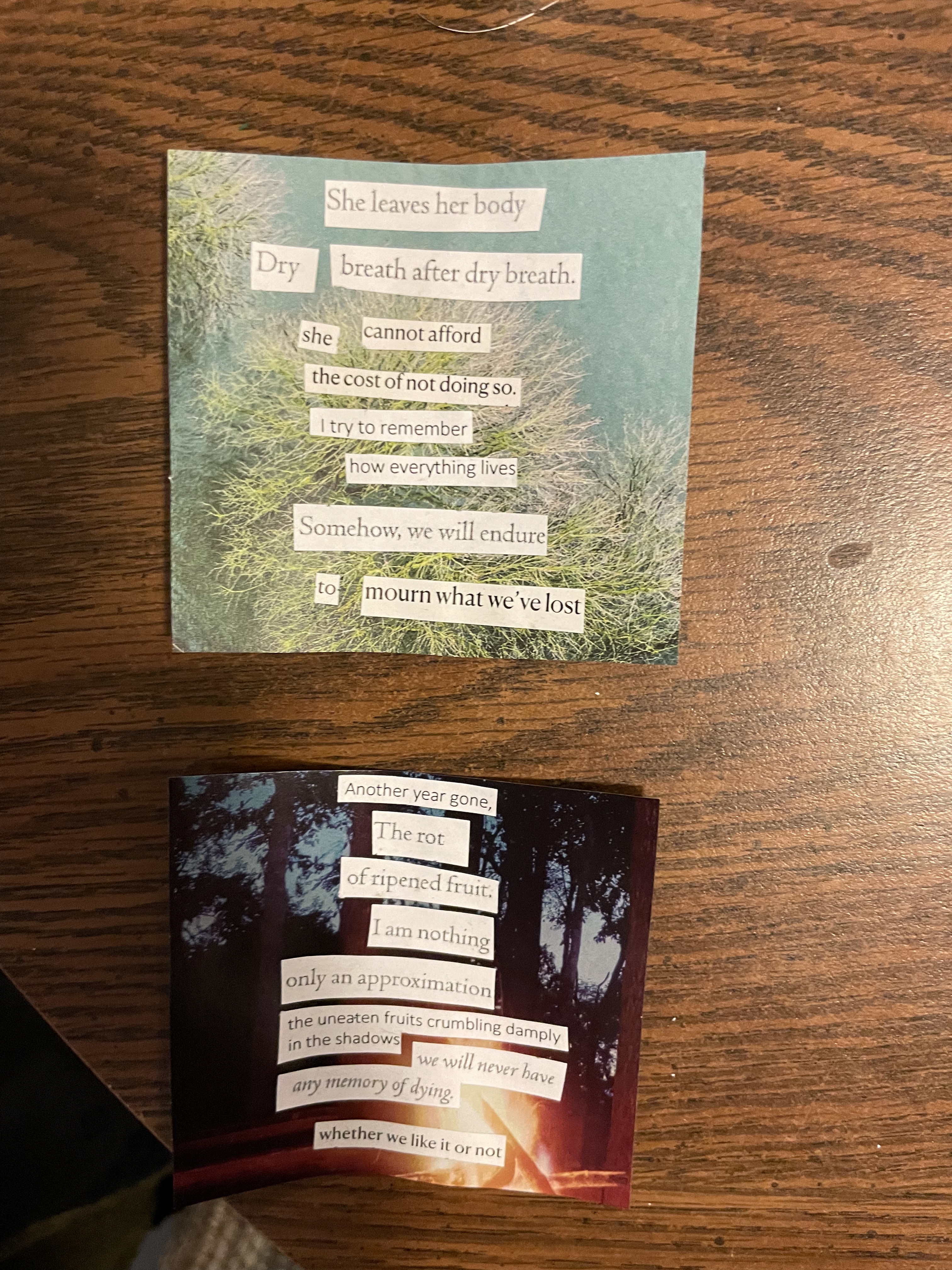 Two collages poems. The first one reads: She leaves her body ; dry breath after dry breath / she cannot aford / the cost of not doing so. /i try to remember / how everything lives / somehow, we will endure/ to mourn what we've lost. The second poem on a darker background reads: "Another year gone/ the rot / of ripened fruit/ i am nothing / only an approximation / the uneaten fruits crumbling damply / in the shadows/ we will hever have / any memory of dying / whether we like it or not.