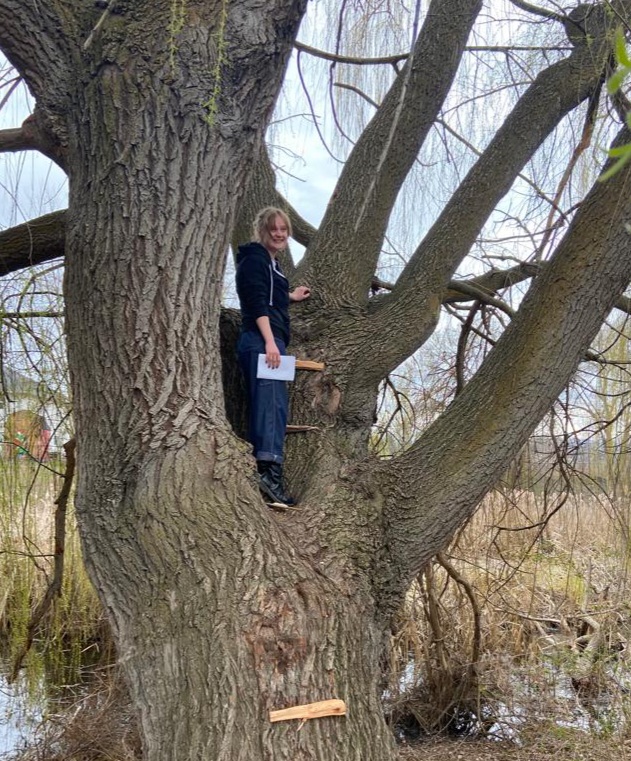 Daisy, a woman with blonde hair, standing in between branches of a very large tree