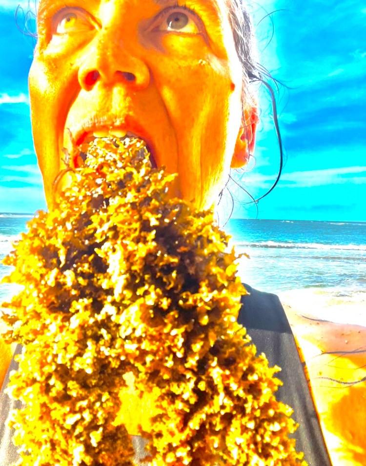 A technicolour blue and orange image of a face holding a bouquet of cascading frilly seaweed between their teeth. The ocean horizon is visible in the background