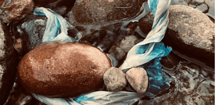 wet rocks in a shallow stream are entangled with a piece of white and blue plastic