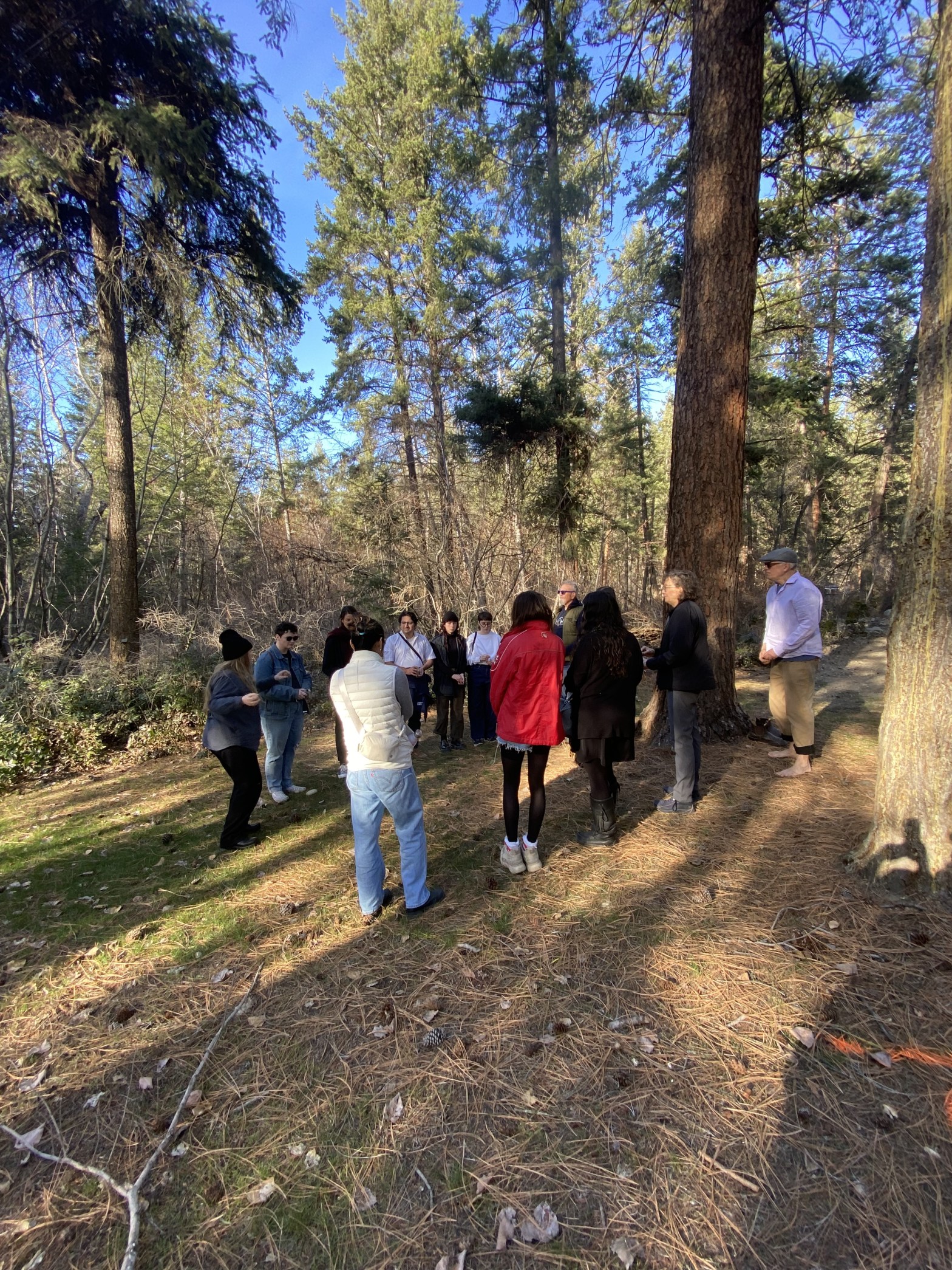A number of people stand in a circle in a clearing under many large trees. The sky is a blue. A person with a black toque is telling them something animatedly!
