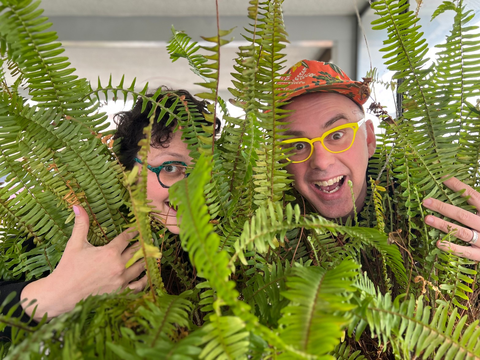 Two people wearing colourful glasses happily peek through fern fronds!