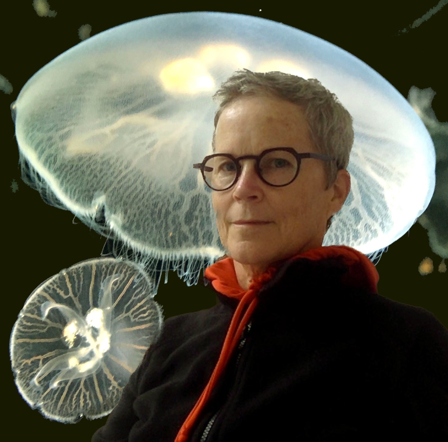 Headshot of Susan Reid with a background of two large moon jellyfish.