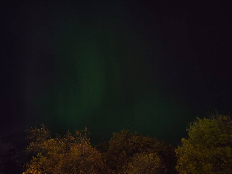 Dark night sky above trees with faint green northern lights in the background