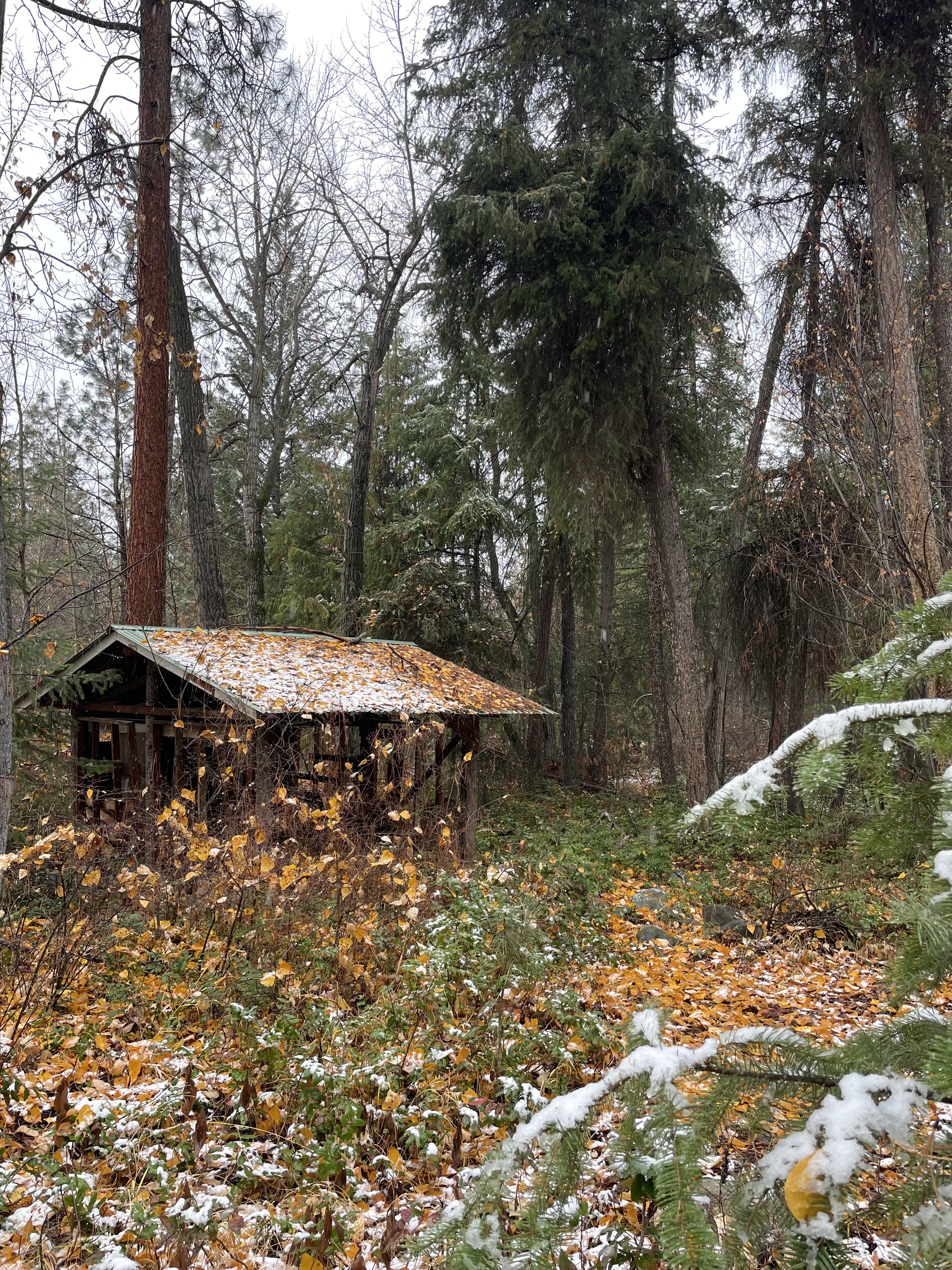 The FEELed Lab woodshet