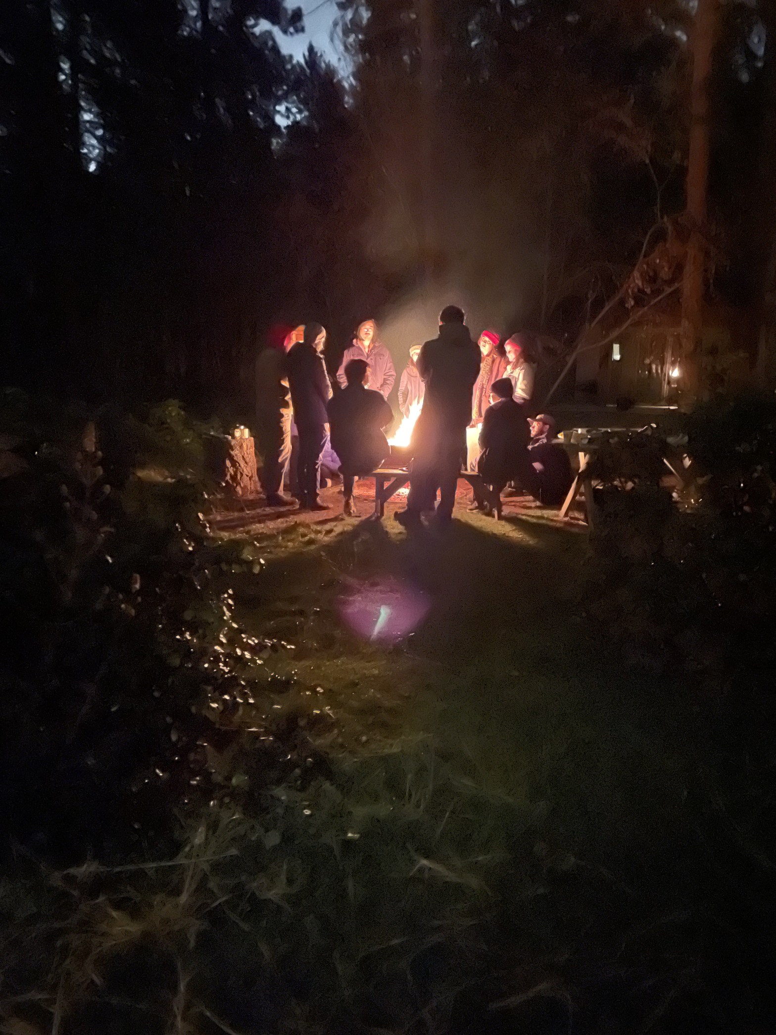 A group of people gather in the forest, their faces illuminated by a fiew
