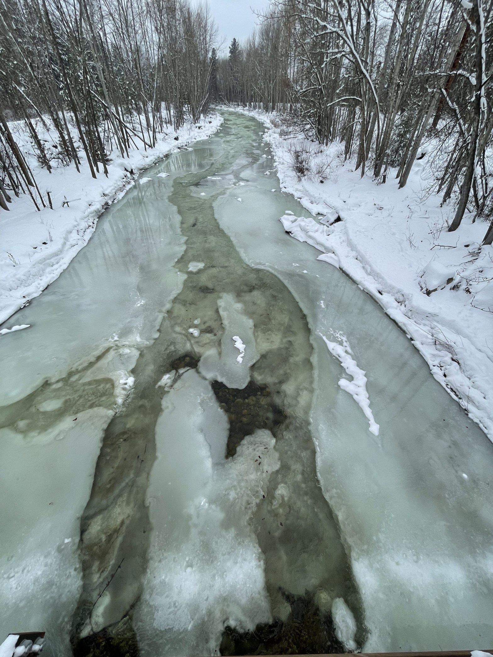 A river partially iced over snakes its way between the leafless trees
