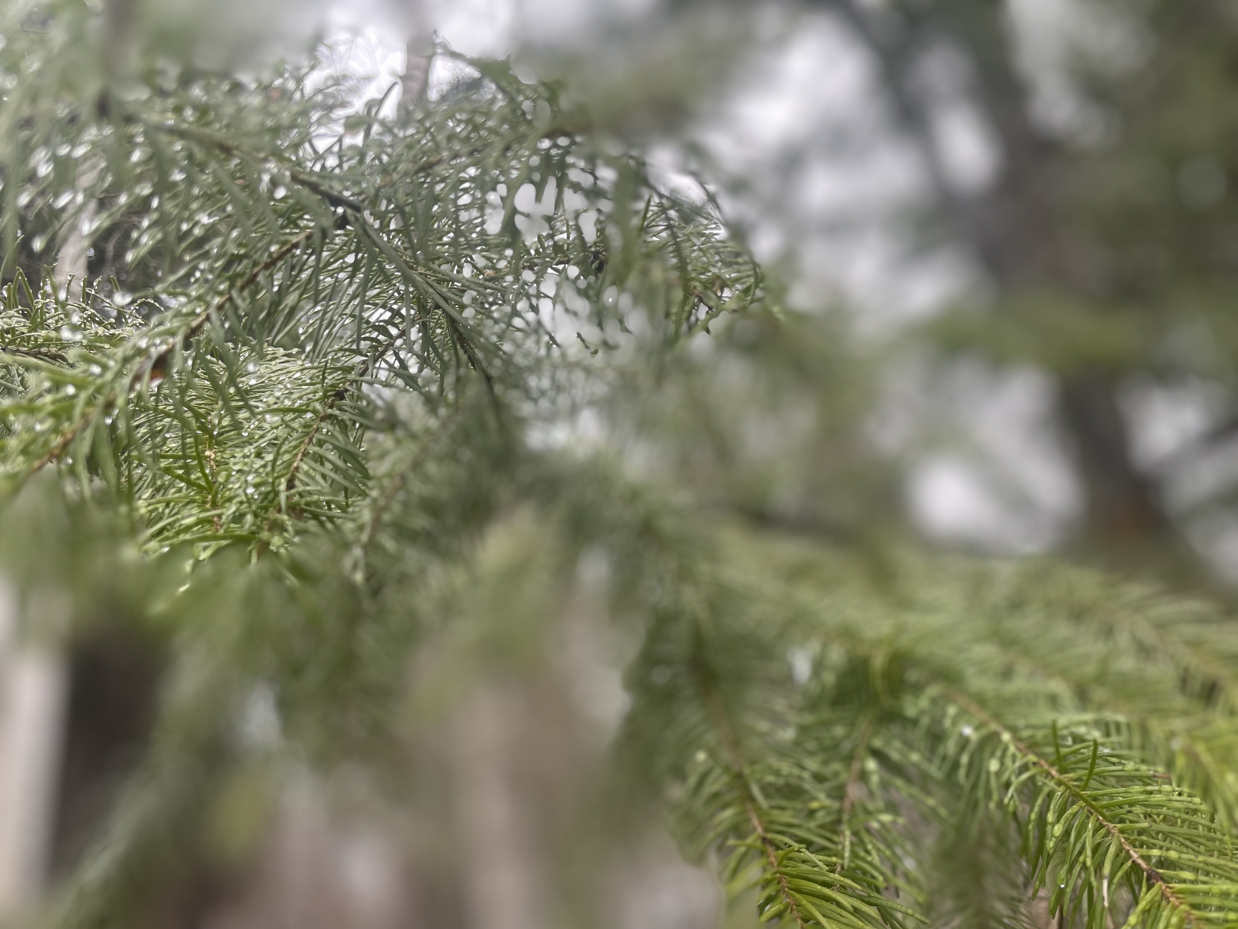 Close up of a pain bra