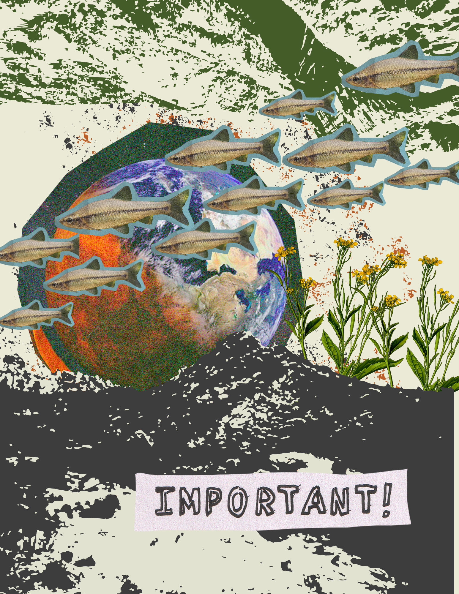 Collaged zine title page with a shoal of fish in front of planet Earth and the word "Important!"
