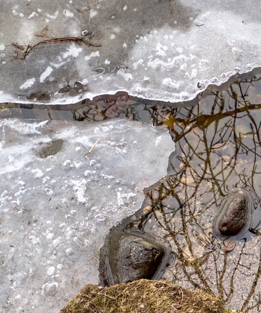 Close-up of the retreating edges of a winter lake. Watery spaces between the ice reveal the pebbly lake-bed below and reflect spindly tree branches above. All in the melt together.