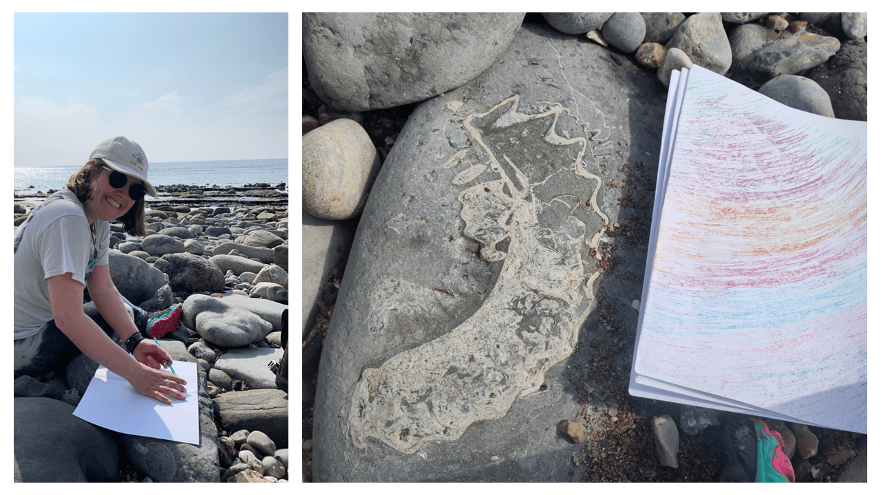 Composite image with a photo of Julia sitting on a rocky beach on the left. Dey are smiling into the camera and holding a pencil and sheet of paper. On the right there is an ammonite fossil alongside a rainbow-colored tracing of it.