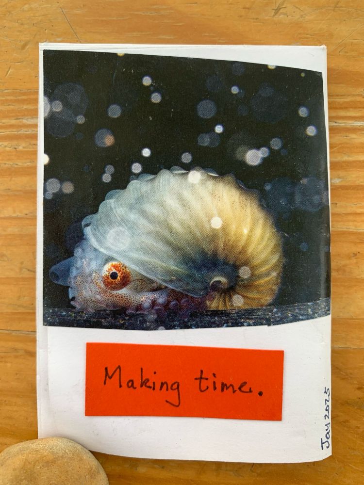 Zine page with a blackout photography image of an argonaut, visually resembling an ammonite and text that read "Making time."