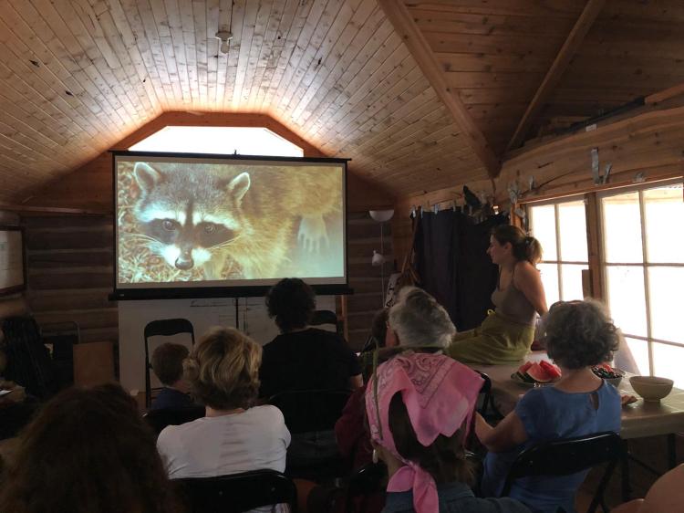 Film Screening in the Schoolhouse showing a picture of a raccoon on the screen