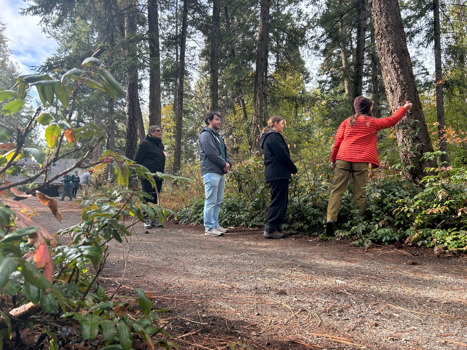 Four people standing on a forest trails, connecting with the trees.
