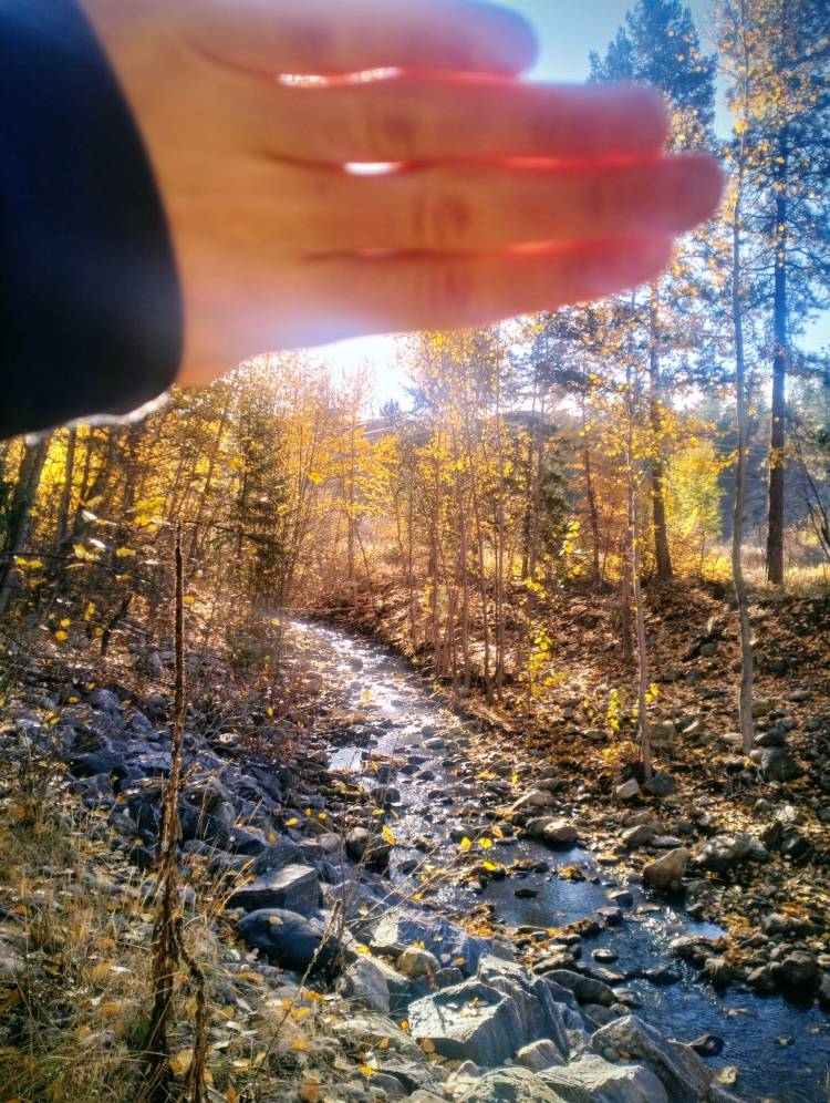 A hand shielding the sun above Bellevue creek on a blue sky and with yellowing leaves all around