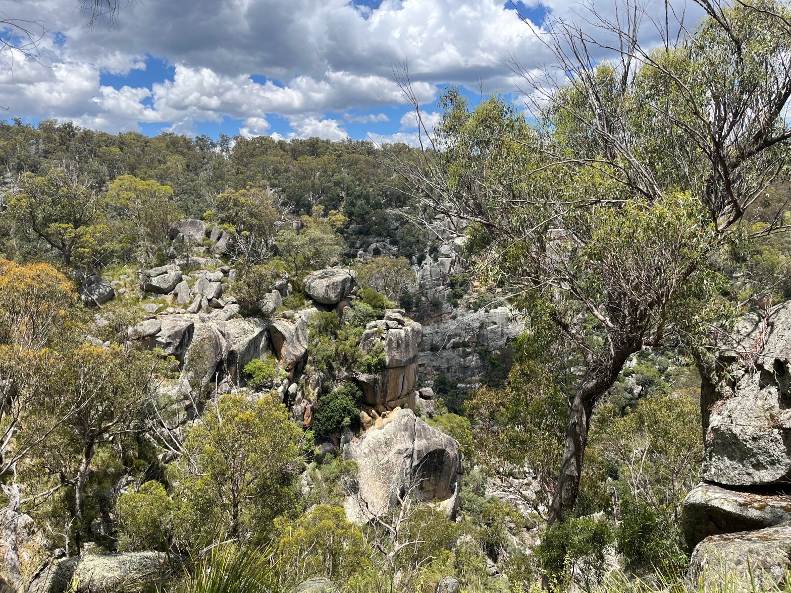 Fluffy clouds in a blue sky over rocks and eucalyptus forest