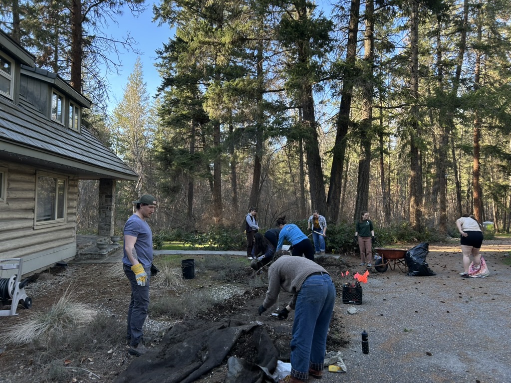 People landscaping the garden space in front of the FEELed lab by hauling away rocks and removing old landscaping tarp.
