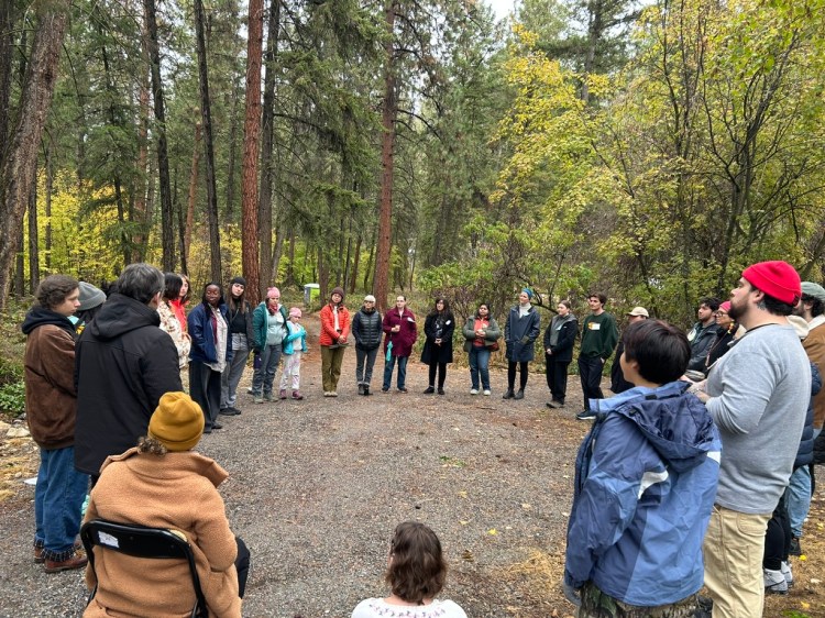 A group of people standing in a circle in a forest surrounded by big trees.