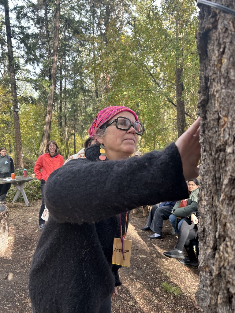Astrida touching a large tree carefully with her hand.