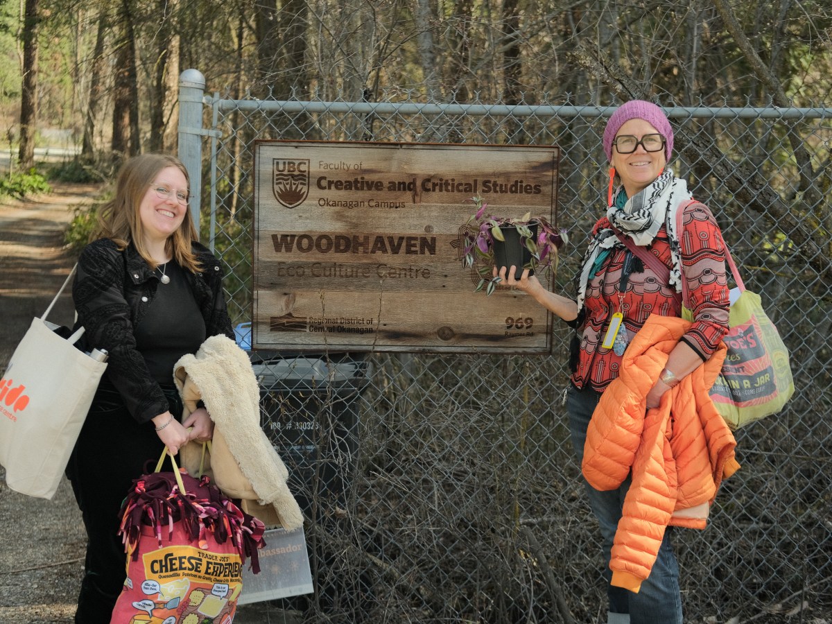 Poetic Learnings in Access and&nbsp;Inclusion