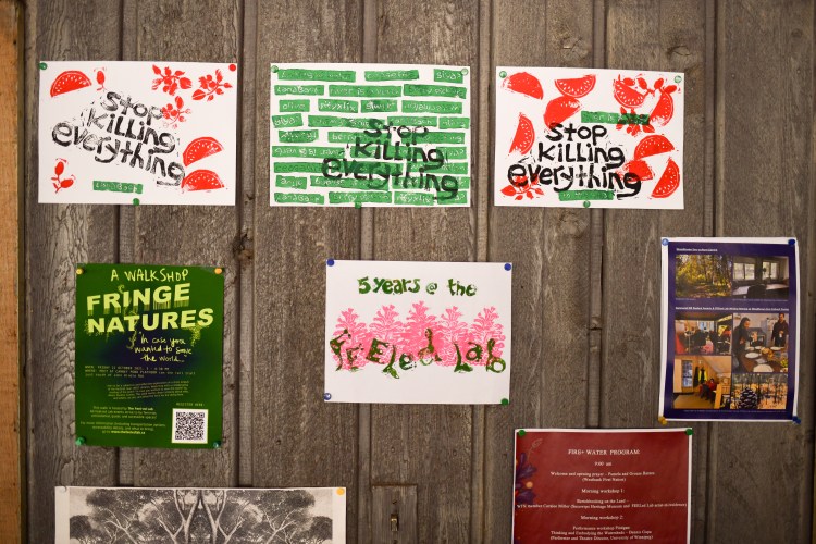 selection of posters and prints in the carport including two linkprints saying "Stop killing everything"