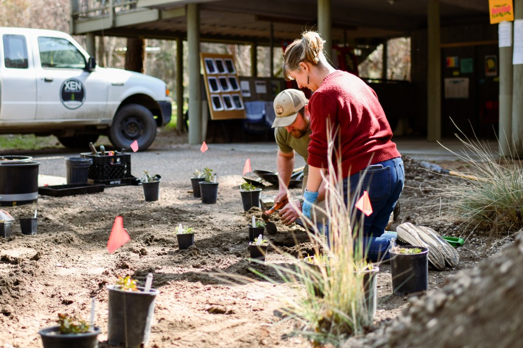 Planting in front of the lab, lots of little pots with planting flags getting ready