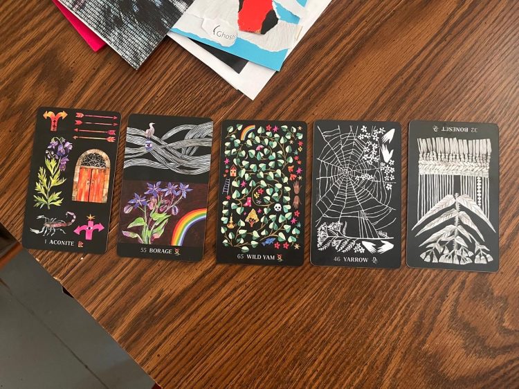 Photo credit: Susanne. Five selected plant oracle cards for sensing-with our writing (“Dirt Gems” created by Chelsea Granger & Anne Louise Burdett)