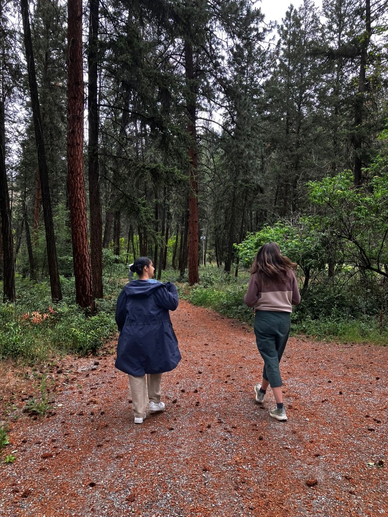 Photo credit: Rhona
Walking in pairs through the woods.