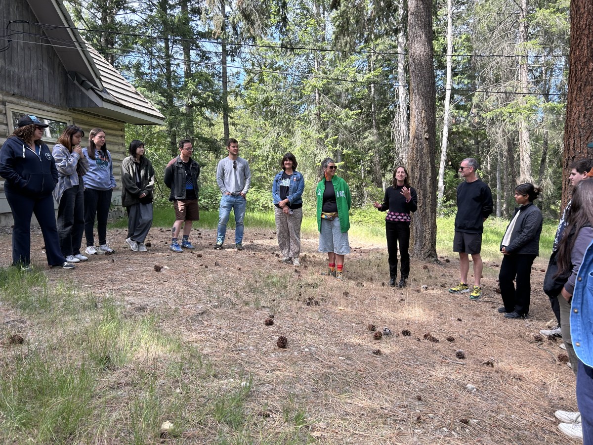 Land as Teacher: Experiential land-based workshop&nbsp;(continues)