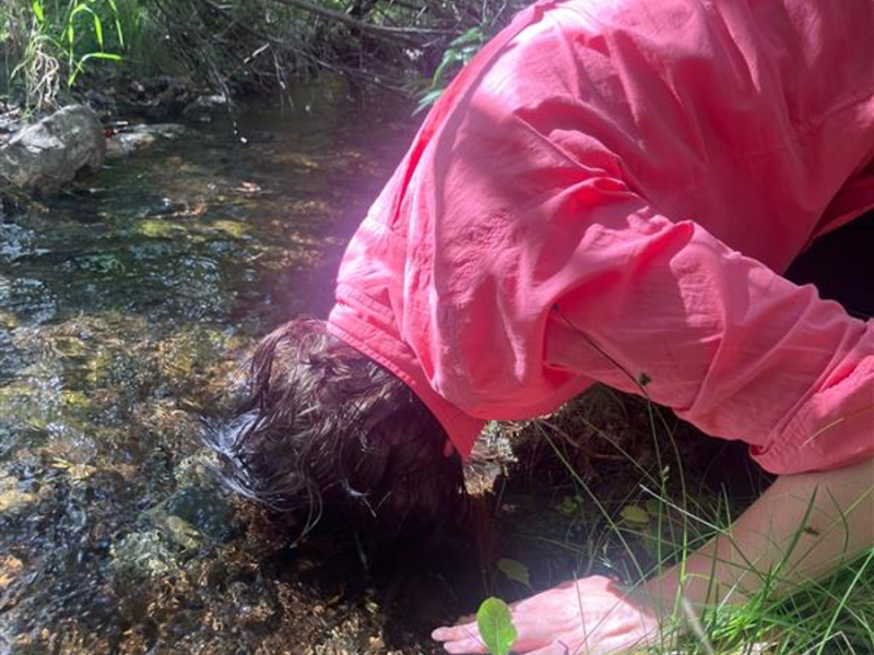 Deep Writing: A FEELed Lab Summer&nbsp;Retreat