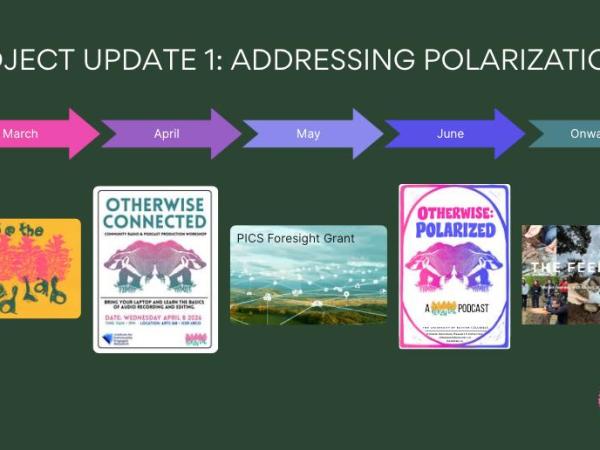 The Problem of&nbsp;Polarization
