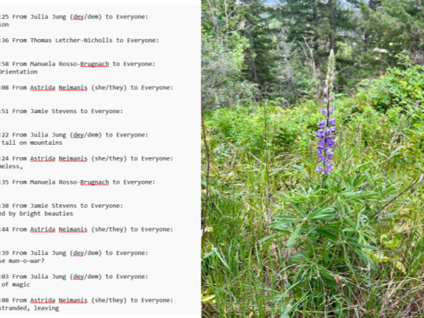 Plant Story Poetry
