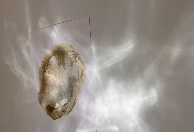 Light reflecting off an abstract grey and yellow image on a white wall