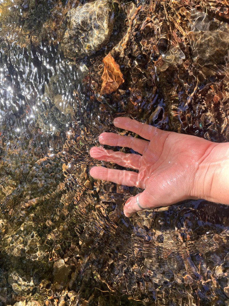 A Hand in the clear water of Bellevue Creek